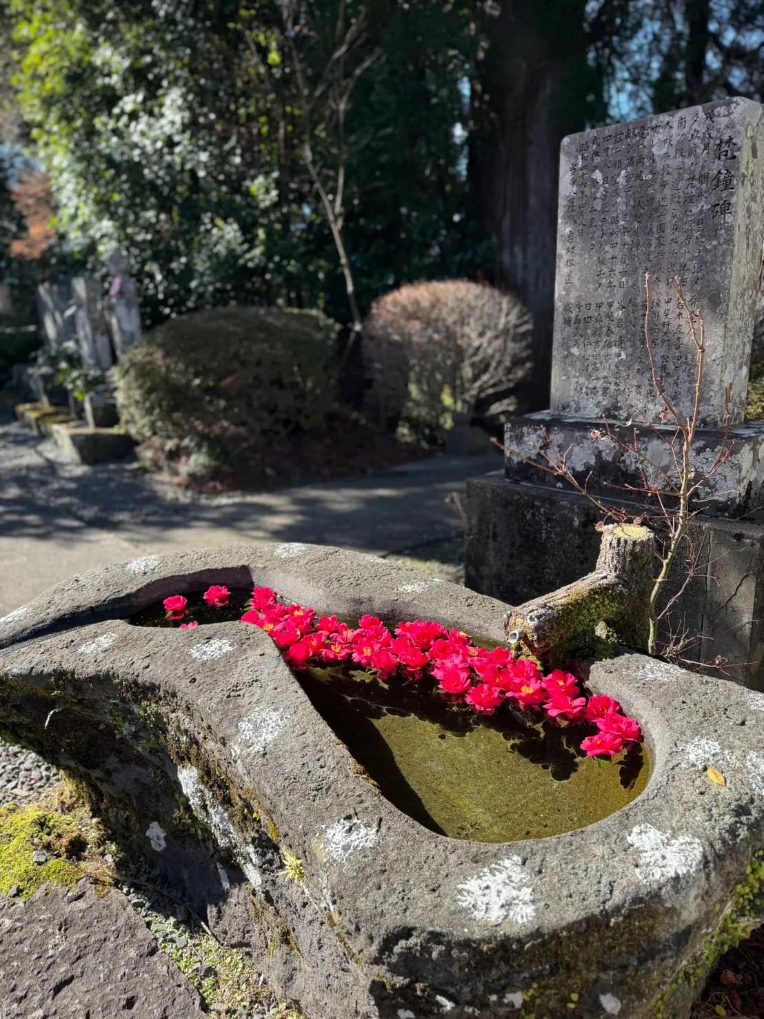 不説和尚作の手水鉢(瓢箪池)